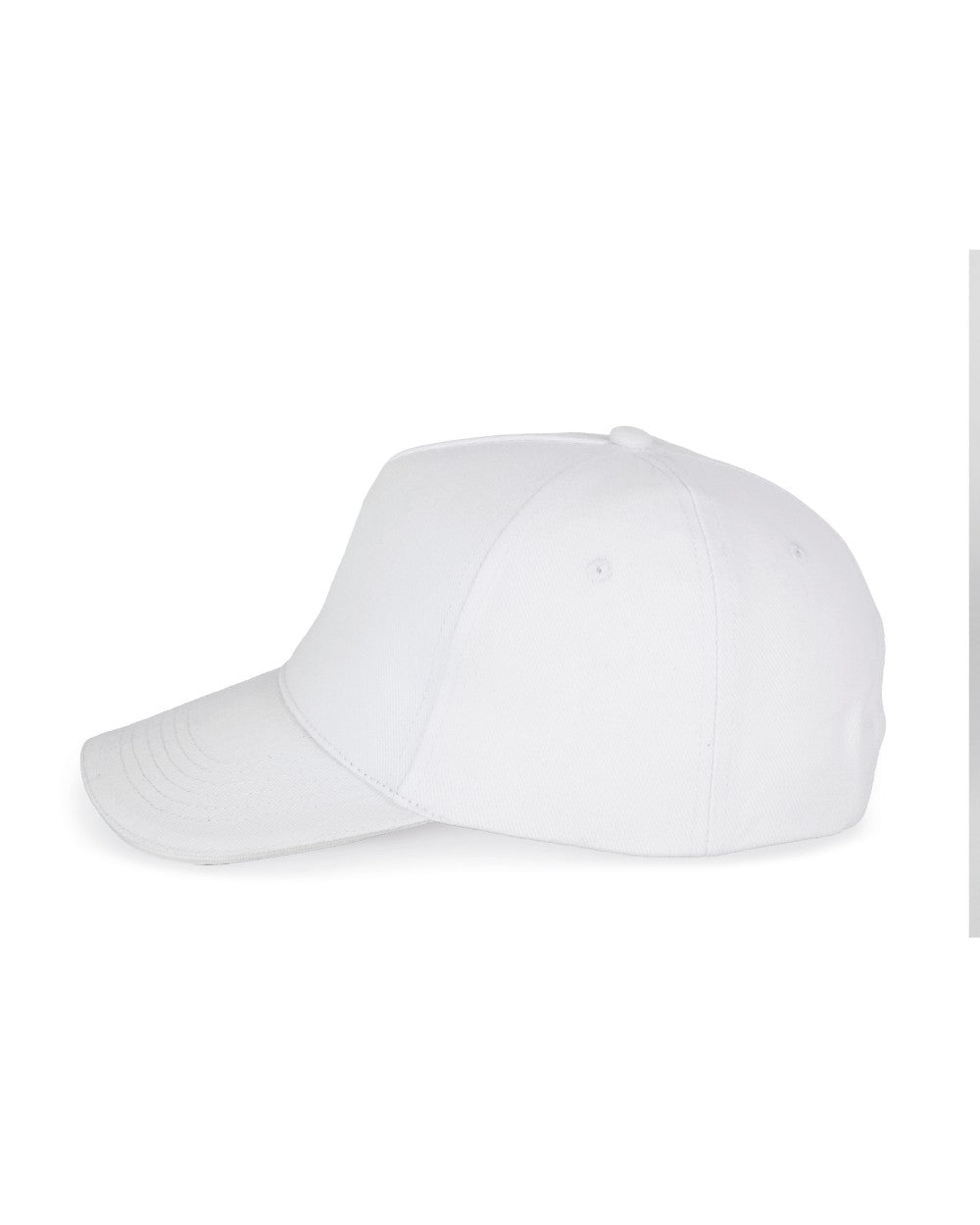 Classic Hat 2